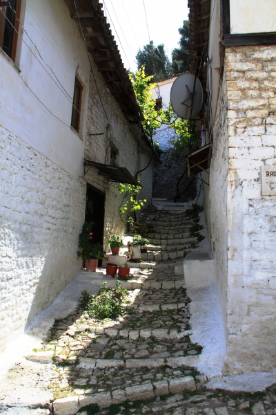 Albanie (116)