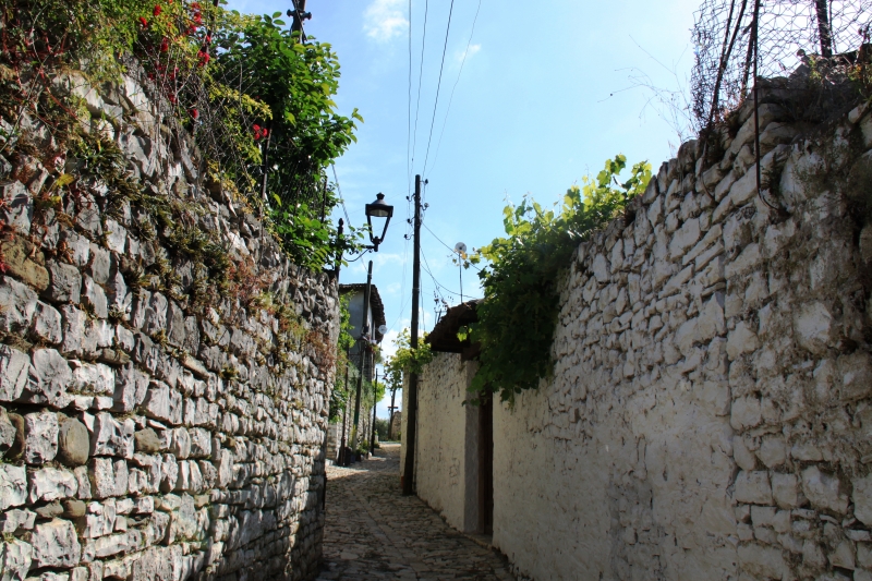 Albanie (120)