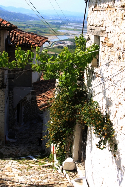 Albanie (123)