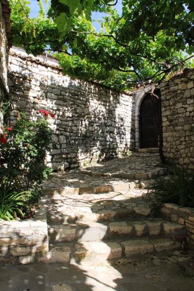Albanie (124)