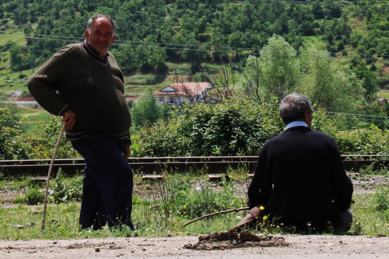 Albanie (170)