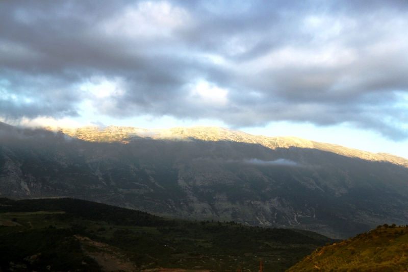 Albanie (42)