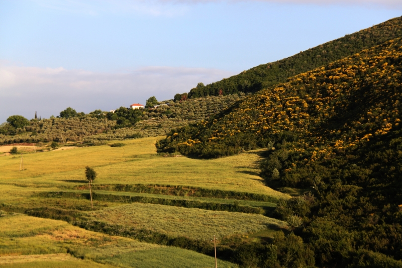 Albanie (63)
