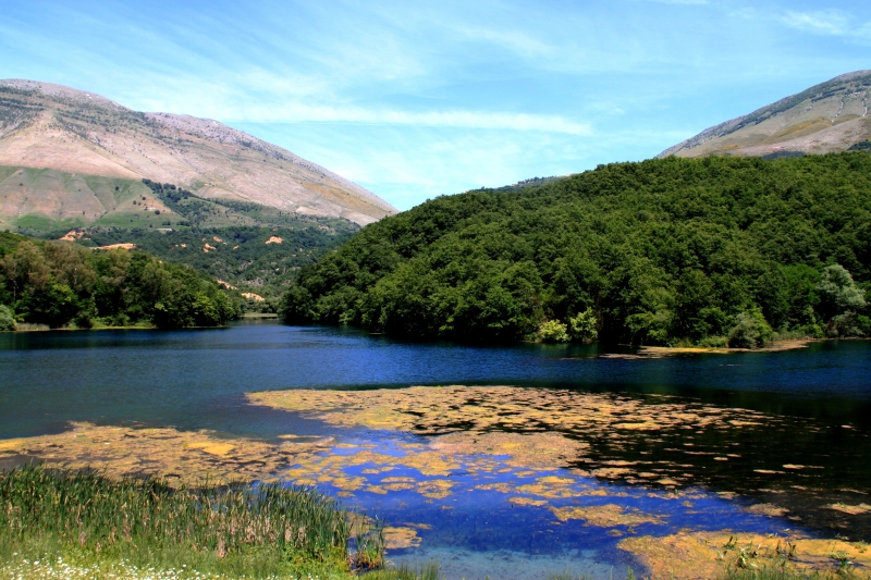 Albanie (66)