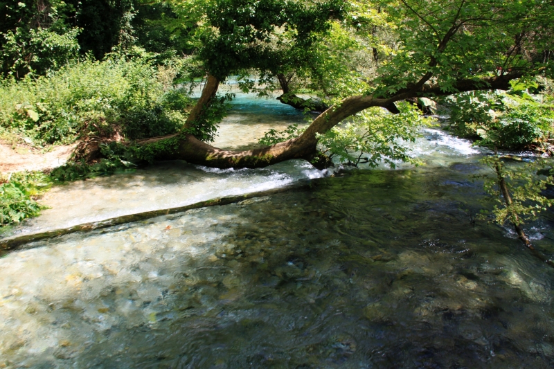 Albanie (76)