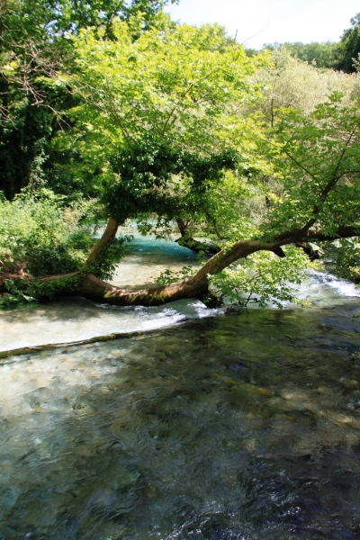 Albanie (77)