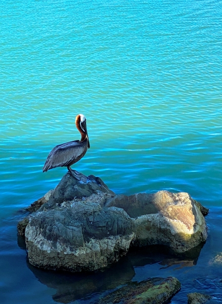Antigua-Barbuda-34
