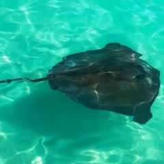 Antigua-Barbuda-15