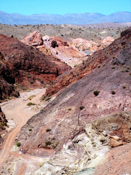 Argentinie (102)