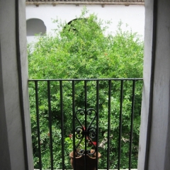 Argentinie (40)