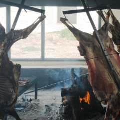 Argentinie (66)