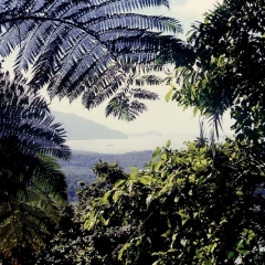 Australie (1)