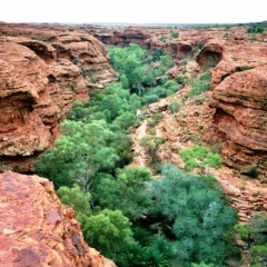 Australie (20)