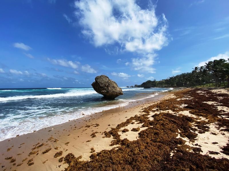 Barbados-1