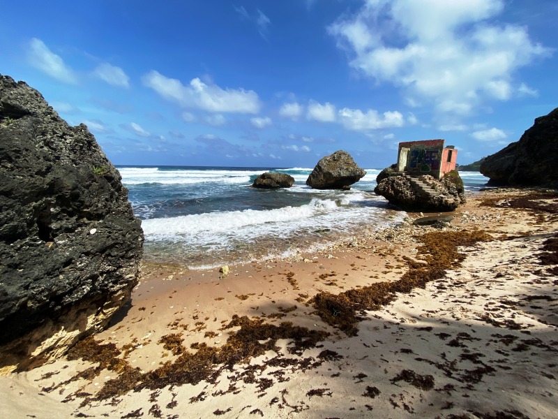 Barbados-15