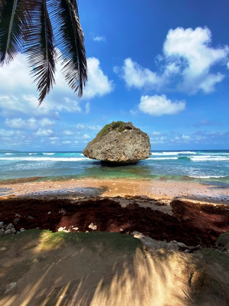 Barbados-2