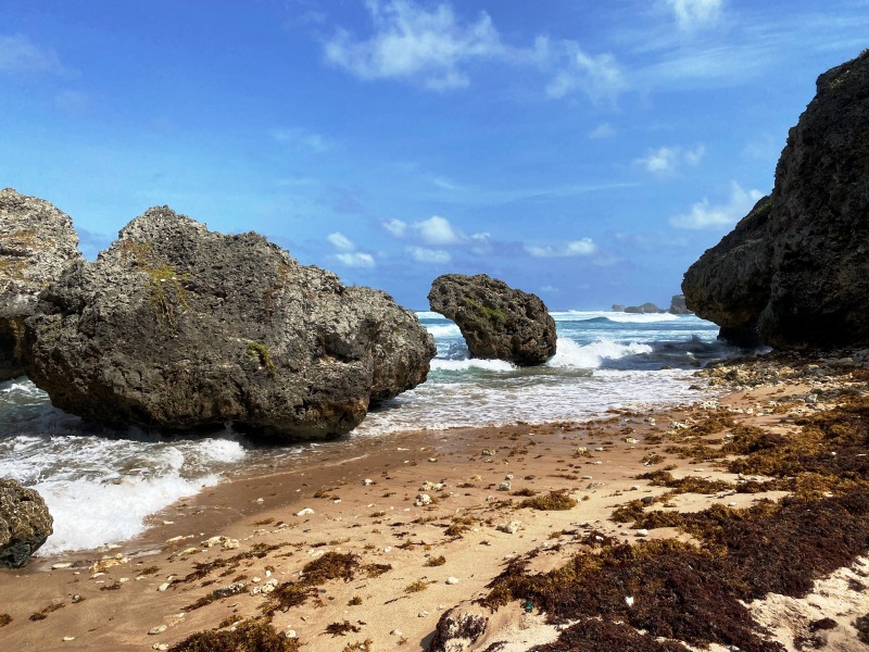 Barbados-24