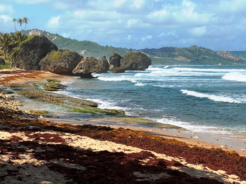 Barbados-27