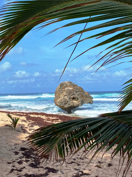 Barbados-29