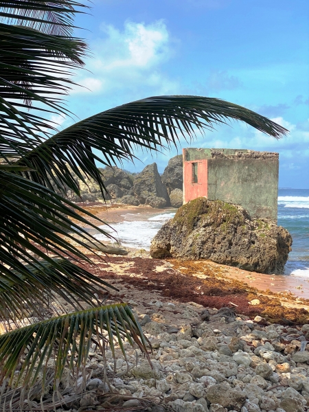 Barbados-32