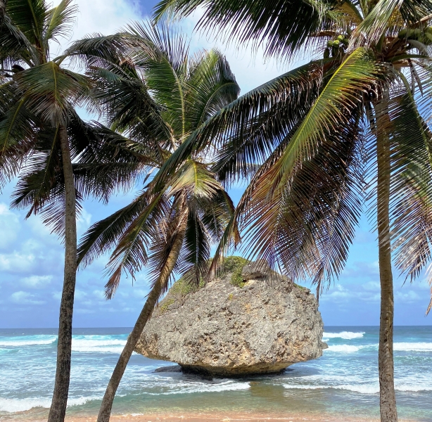 Barbados-33