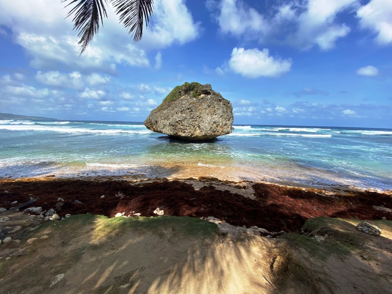 Barbados-5