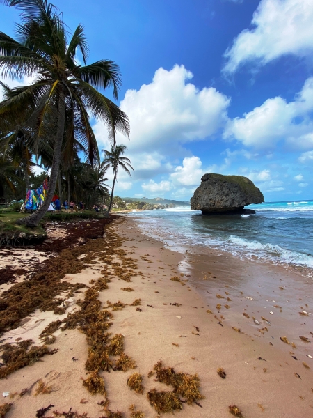 Barbados-7