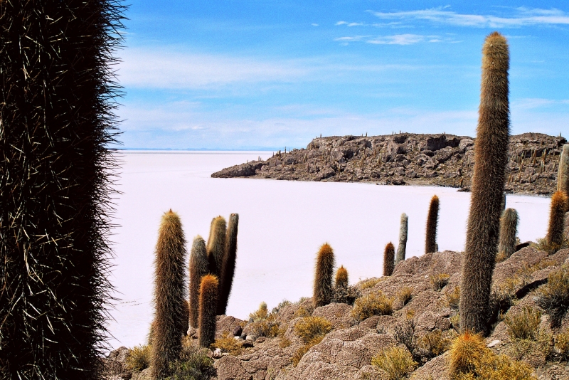 Bolivia (13)