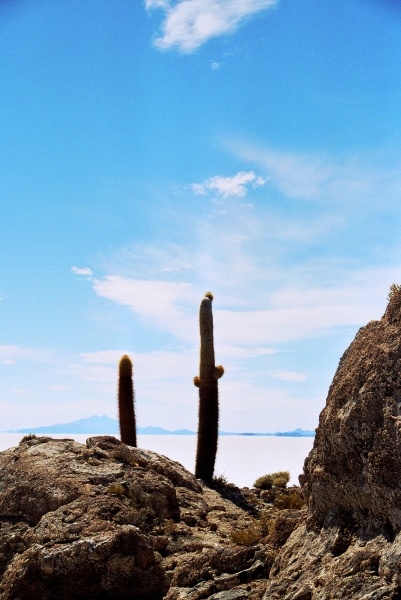 Bolivia (14)