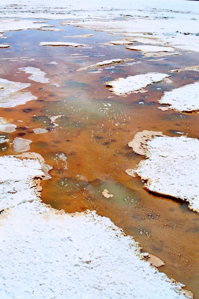 Bolivia (26)