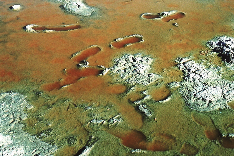 Bolivia (29)