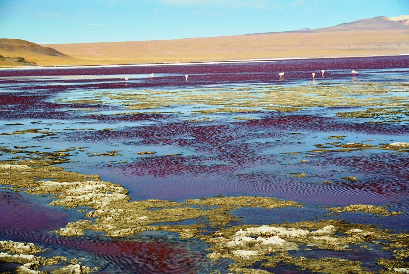 Bolivia (39)