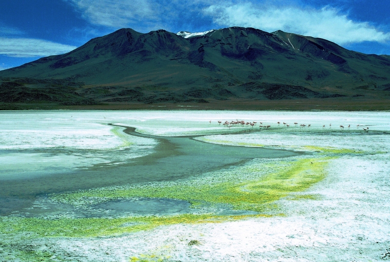 Bolivia (68)