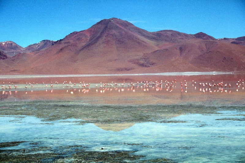 Bolivia (74)