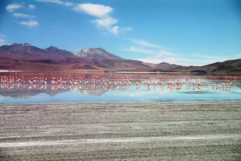 Bolivia (75)