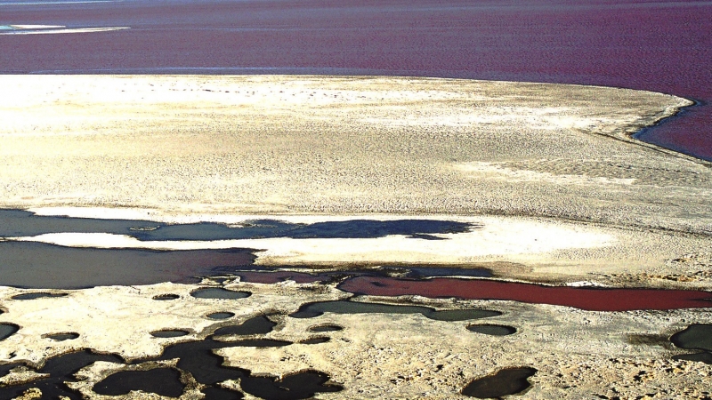 Bolivia (79)