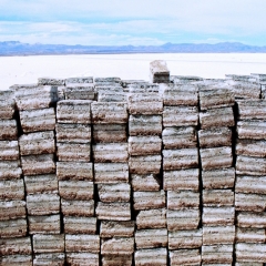 Bolivia (11)