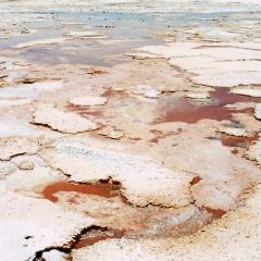 Bolivia (24)