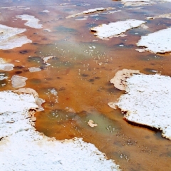 Bolivia (26)