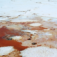 Bolivia (27)
