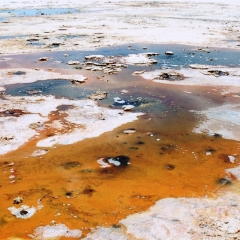 Bolivia (28)
