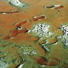 Bolivia (29)