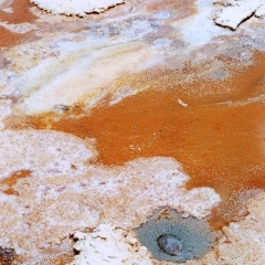 Bolivia (35)