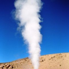 Bolivia (46)