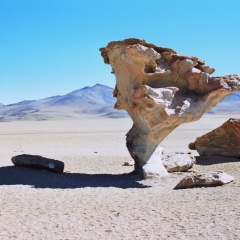 Bolivia (9)