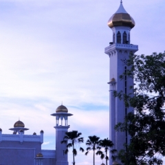 Brunei (13)