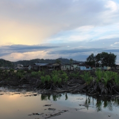 Brunei (54)