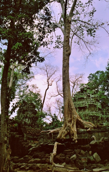 Cambodja (38)