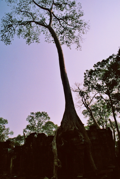 Cambodja (43)