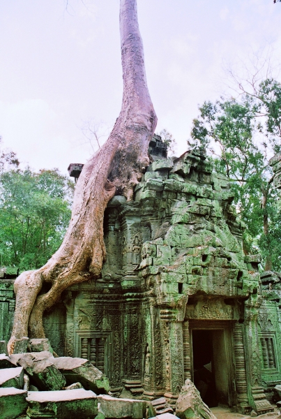 Cambodja (8)